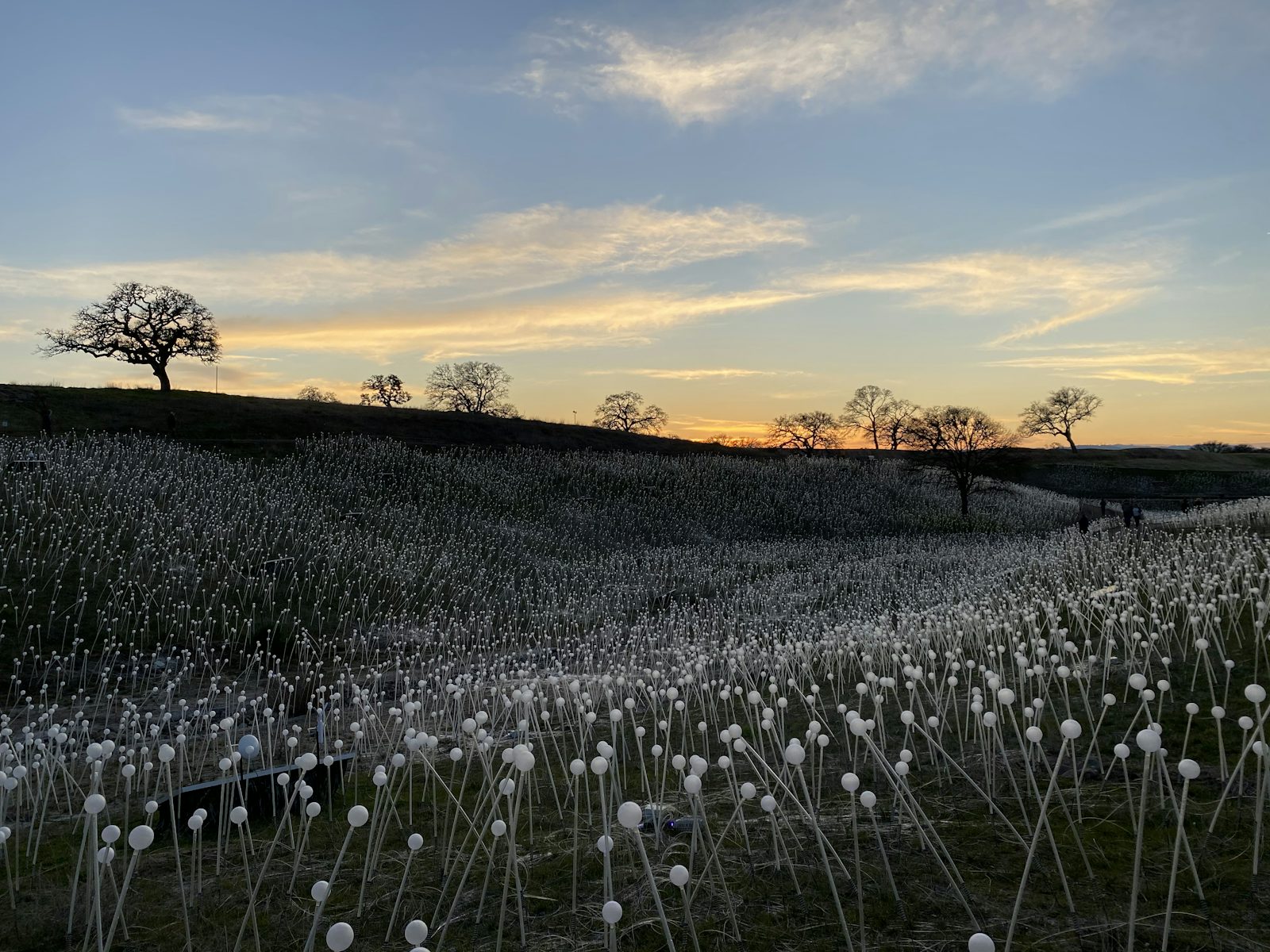 San Luis Obispo area Paso Robles sunset across a field